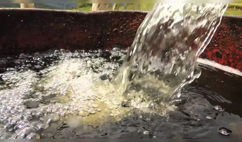 Qochas. Entre el 2017-2021, las operaciones del Midagri permitieron la creación de 12.292 nuevas hectáreas en la producción de cultivos. Foto: difusión