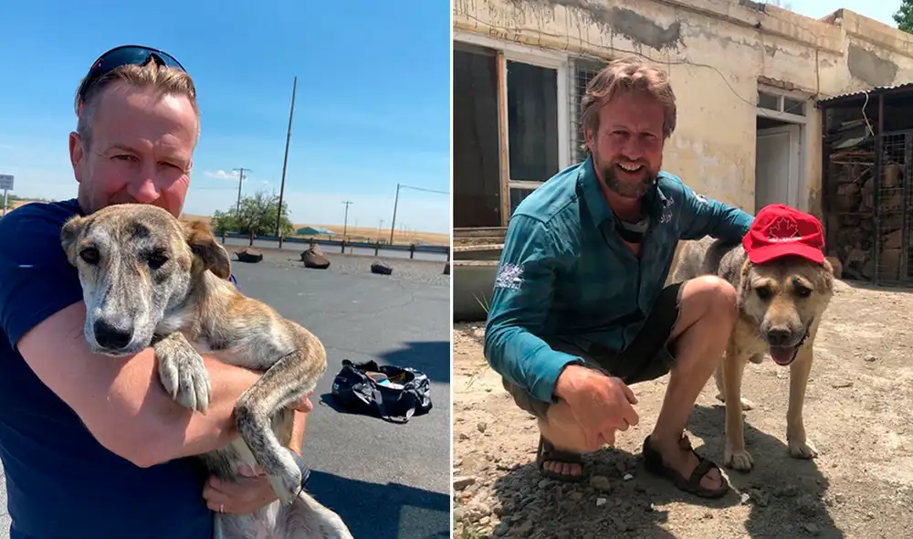El exmarine británico fletó un avión para evacuar al personal afgano y a los animales. Foto: Paul Farthing