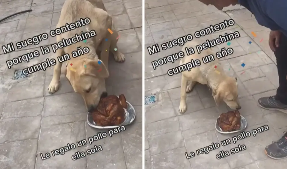 Miles de usuarios quedaron cautivados con esta tierna escena. Foto: captura de TikTok