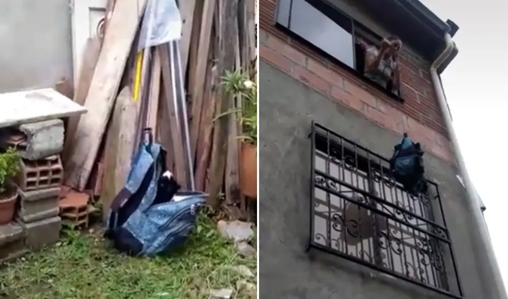 Esta graciosa idea hizo reír a más de uno en las redes sociales. Foto: captura de TikTok