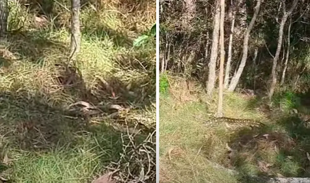 El video viral ha sido compartido en la página ViralHog. Foto: captura de Facebook El video viral ha sido compartido en la página ViralHog. Foto: captura de Facebook