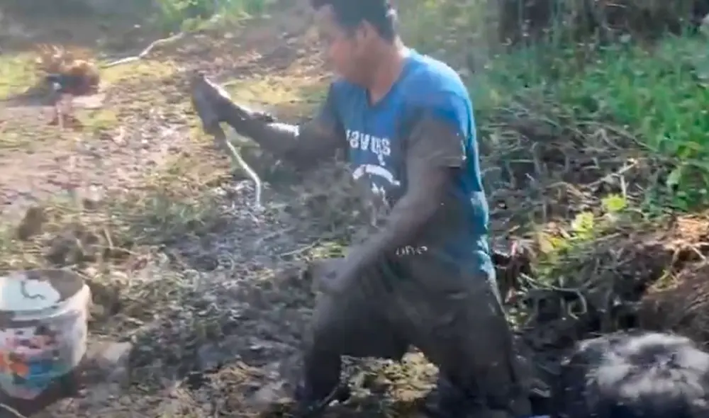 El video viral ha causado gran sensación en las redes sociales. Foto: captura de YouTube