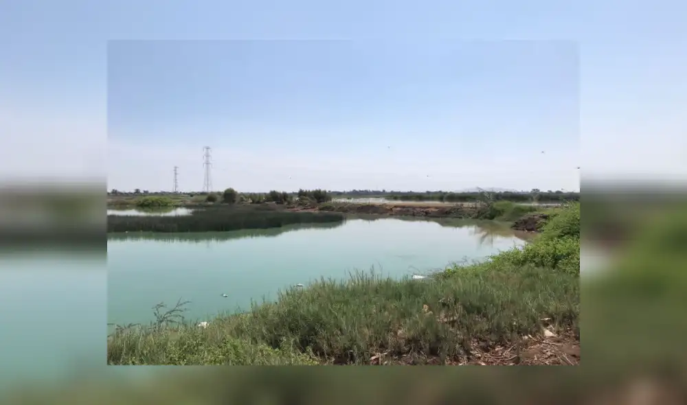 La Contraloría señaló que las deficiencias en la obra ocasionó el afloramiento de aguas servidas que afectaron los terrenos de la zona. Foto: Contraloría La Contraloría señaló que las deficiencias en la obra ocasionó el afloramiento de aguas servidas que afectaron los terrenos de la zona. Foto: Contraloría