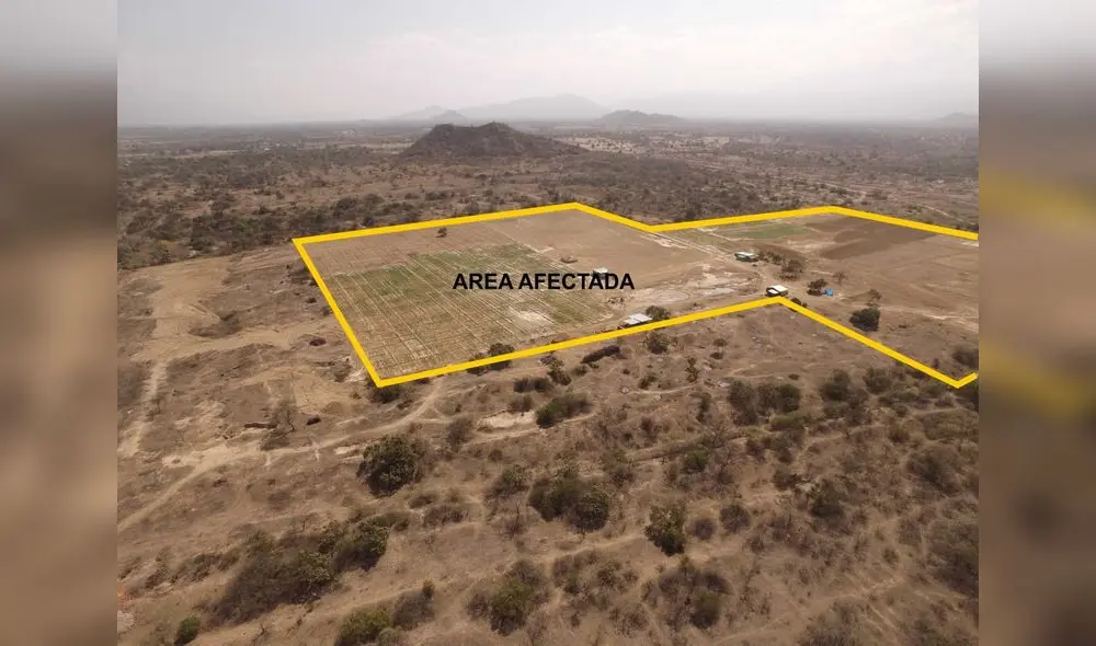 Afectación a complejo arqueológico tiene en alerta a autoridades del sector cultura de Lambayeque. Foto: Wester La Torre.