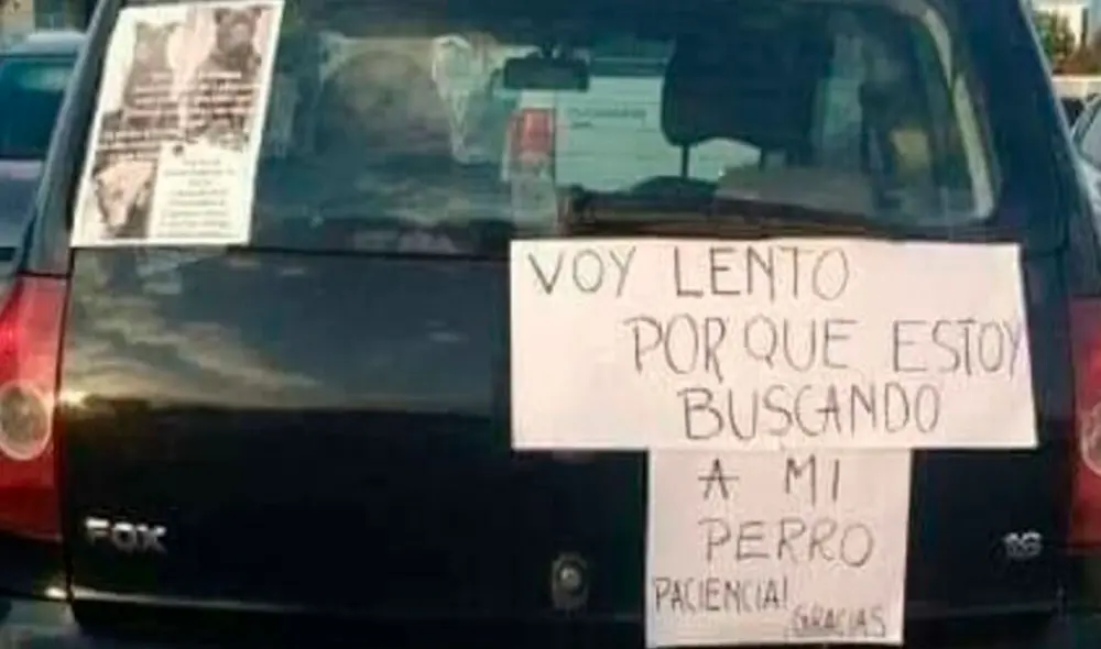 Un hombre pegó un cartel en su auto para explicar a los conductores que le tuvieran paciencia, ya que quería dar con el paradero de su mascota. Foto: Animales Adorables/ Facebook