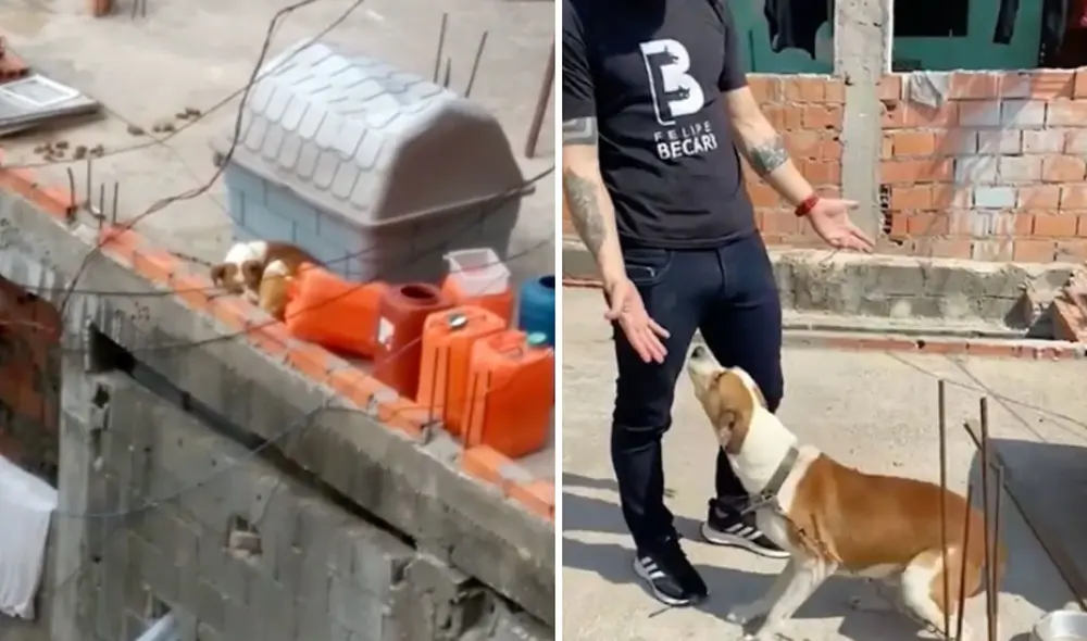 Miles de usuarios quedaron conmovidos con esta historia. Foto: captura de Instagram