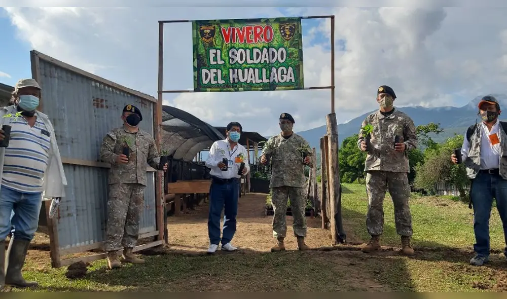 Entregan plantones para reforestar base militar ubicada en el distrito de Morales. Foto: Goresam
