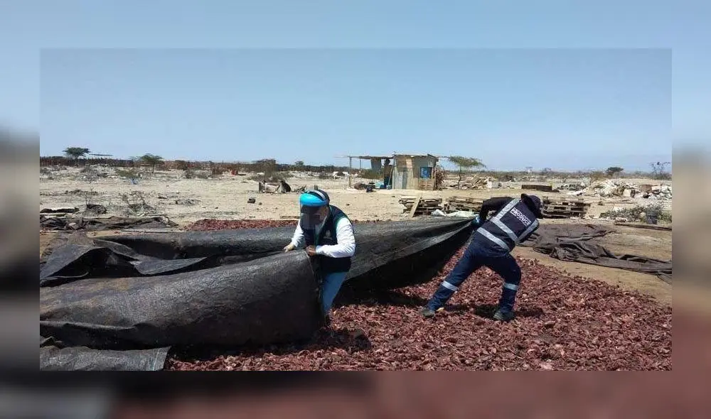 Productos fueron destruidos y donados. Foto: Ministerio Público.