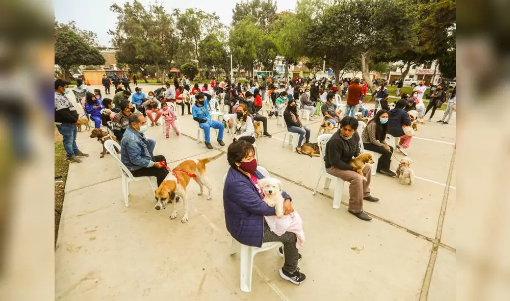 Vecinos llevaron sus mascotas para que los atiendan los veterinarios. Foto: MPT