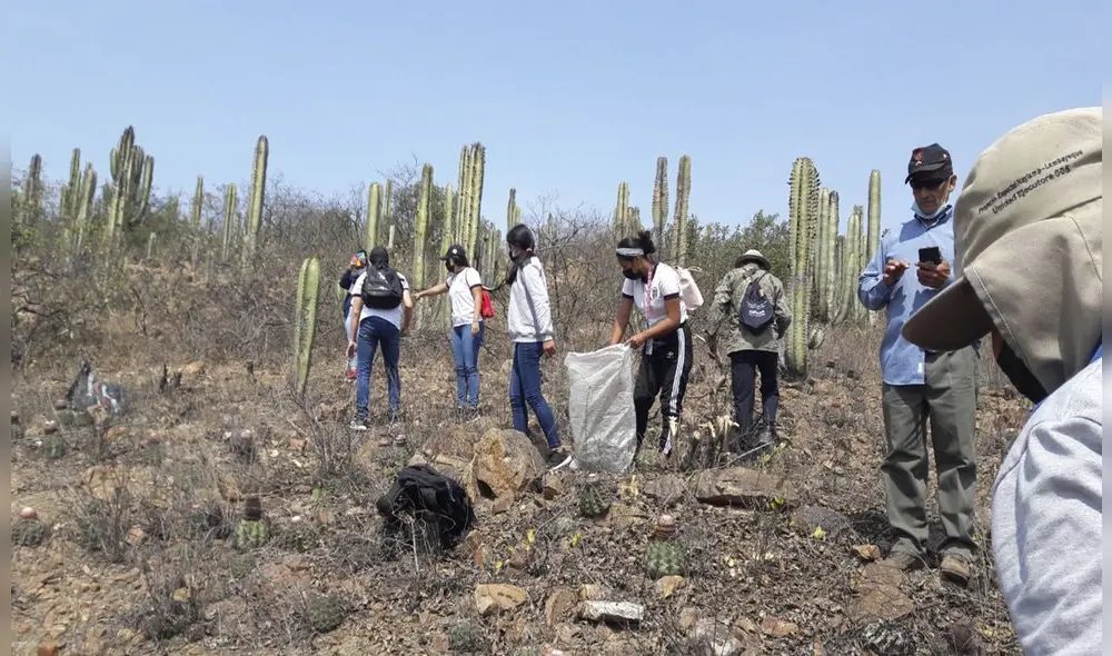 Campaña de limpieza fue organizada por el colegio José Abelardo Quiñones de Oyotún. Foto: DDC Lambayeque.