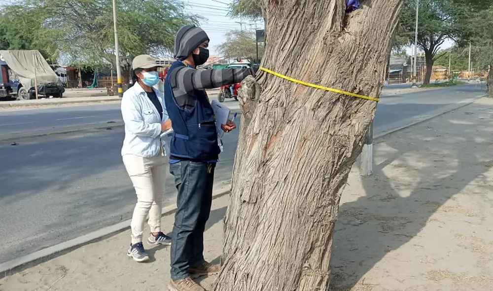 Iniciativa es dada por ONGD Apecoinca. Foto: difusión Iniciativa es dada por ONGD Apecoinca. Foto: difusión