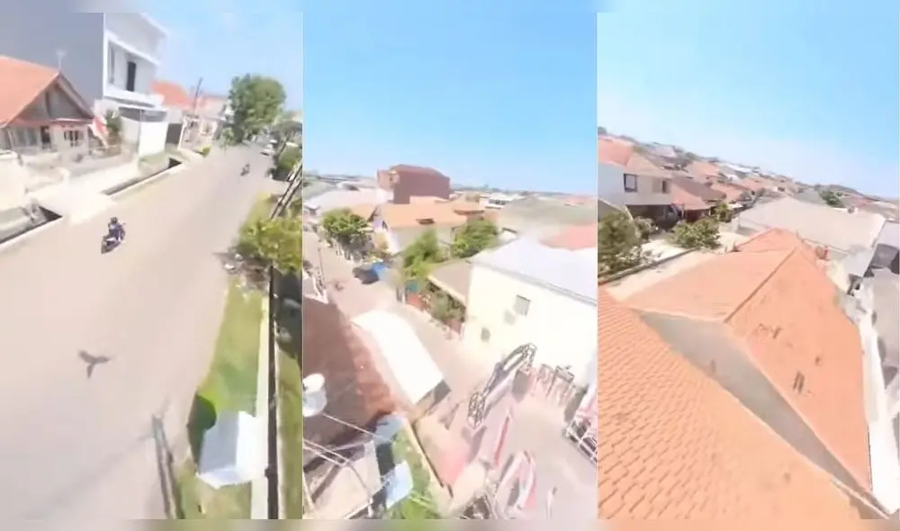 Miles de usuarios vieron la grabación redes sociales. Foto: captura de YouTube