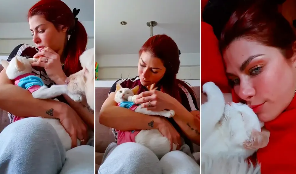 Xoana González comunicó en Instagram que el felino sufría de sordera, ceguera y problemas renales. Foto: composición/Instagram