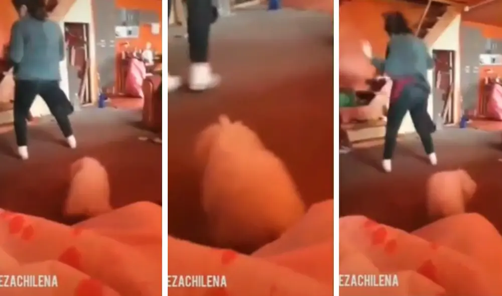 El perrito demostró que tiene buen ritmo y hace buena dupla con su dueña. Foto: captura de TikTok