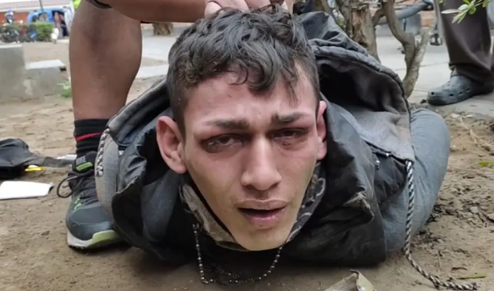 Hampón fue trasladado a la comisaría de Sagitario, donde se determinará su futuro. Foto: Municipalidad de Surco Hampón fue trasladado a la comisaría de Sagitario, donde se determinará su futuro. Foto: Municipalidad de Surco