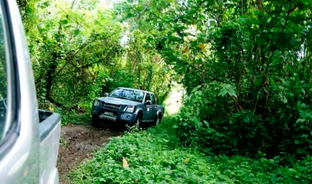 Hecho se registró el último martes en horas de la noche. Foto: Primera Hora Quillabamba Hecho se registró el último martes en horas de la noche. Foto: Primera Hora Quillabamba