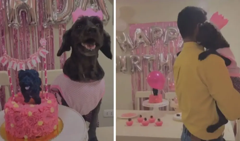 La tierna escena logró cautivar a miles en las redes sociales. Foto: captura de TikTok La tierna escena logró cautivar a miles en las redes sociales. Foto: captura de TikTok