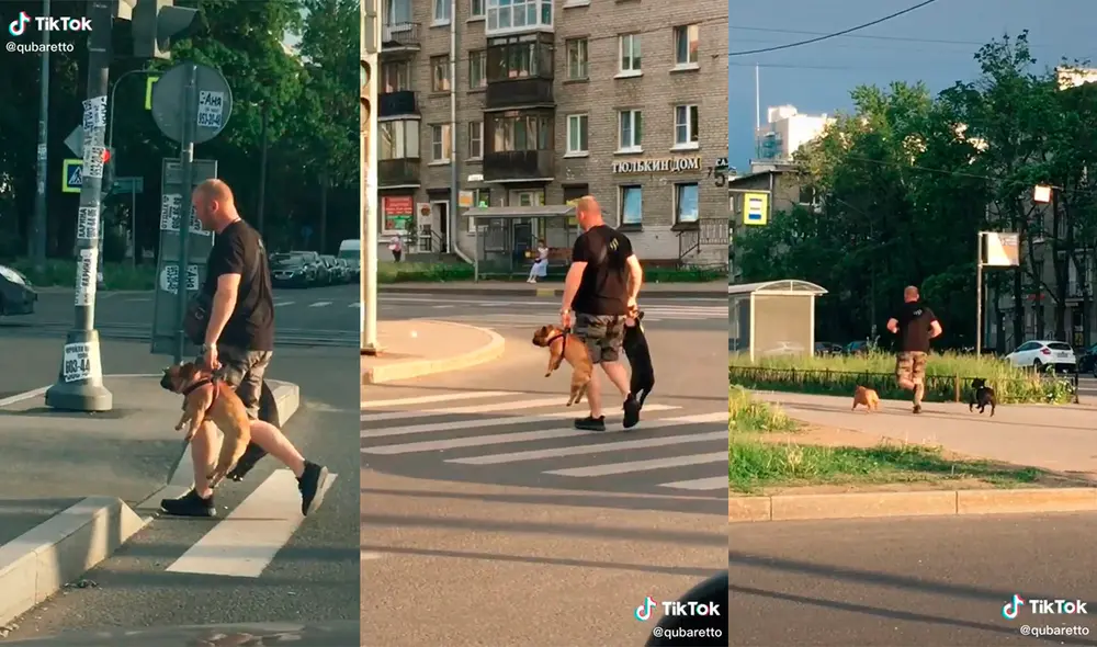 El sujeto cargó a sus queridas mascotas para evitar que se expongan a algún peligro. Foto: captura de TikTok El sujeto cargó a sus queridas mascotas para evitar que se expongan a algún peligro. Foto: captura de TikTok