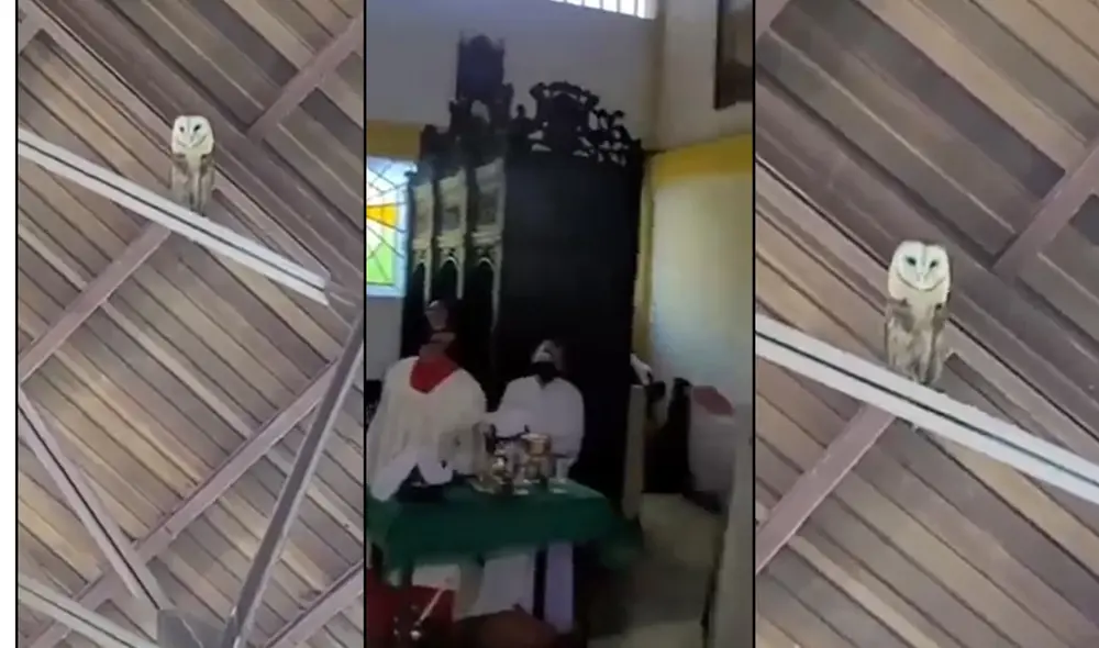 Video se hizo tendencia en redes sociales. Foto: captura de Facebook Video se hizo tendencia en redes sociales. Foto: captura de Facebook
