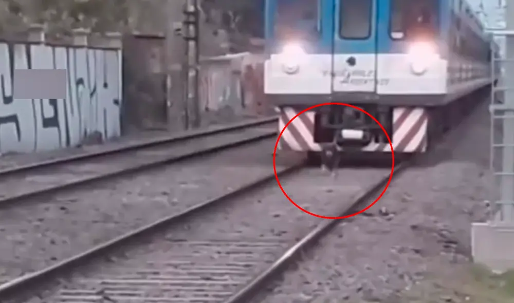 El conductor del tren bajó la velocidad de la máquina para evitar atropellar al perrito. Foto: captura de TikTok