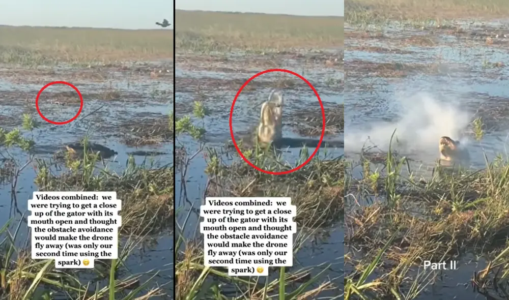 El video viral ha sido compartido en la cuenta de Viral Vids. Foto: captura de YouTube