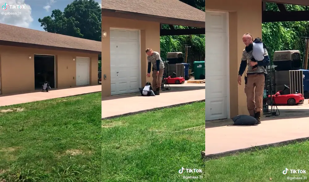 El animal logró cautivar a miles de cibernautas con su enternecedor comportamiento. Foto: captura de TikTok El animal logró cautivar a miles de cibernautas con su enternecedor comportamiento. Foto: captura de TikTok