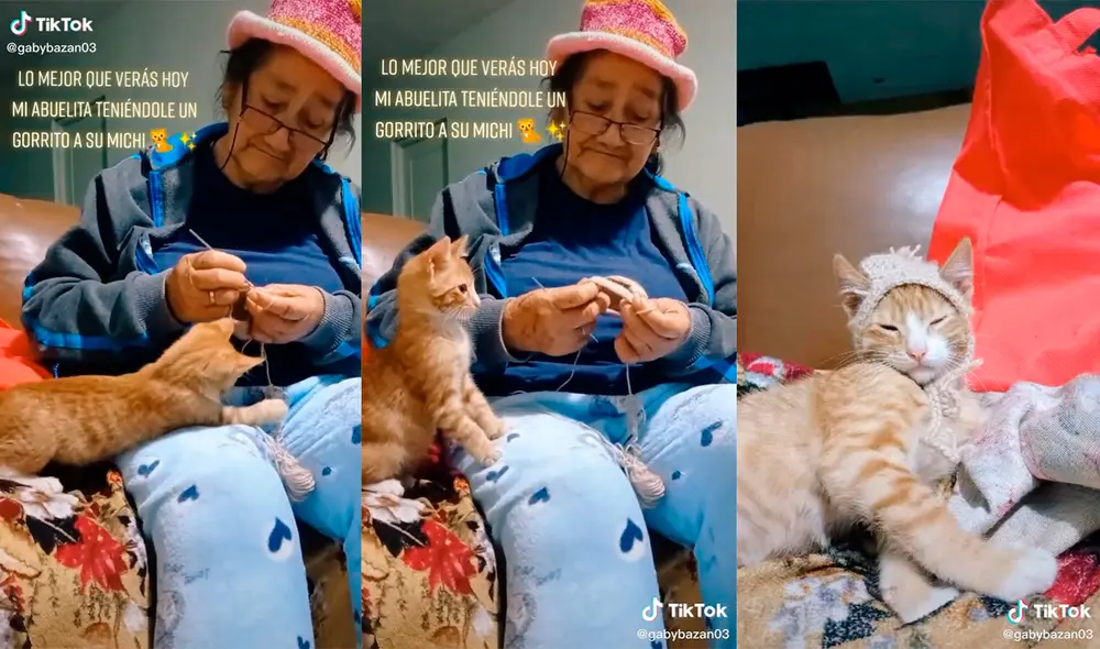 El minino esperó pacientemente a que la mujer acabe de confeccionar su nueva prenda. Foto: captura de TikTok