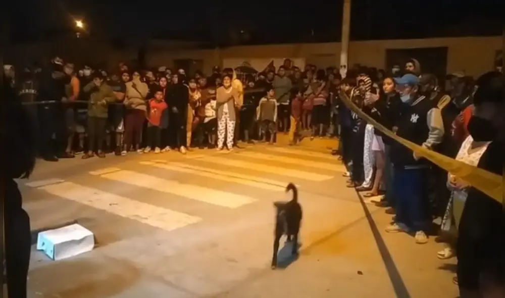 Los delincuentes subieron a una motocicleta y huyeron sin rumbo conocido. Foto: captura video La Ribereña Guadalupe Los delincuentes subieron a una motocicleta y huyeron sin rumbo conocido. Foto: captura video La Ribereña Guadalupe