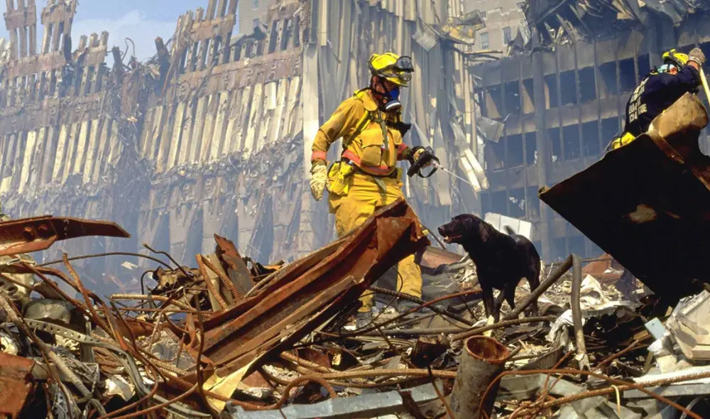 Roselle, un perro guía, ayudó a su dueño con discapacidad visual a evacuar por las escaleras de la Torre 1 luego del impacto del avión. Su dueño sobrevivió. Foto: Hero Dogs of 9/11