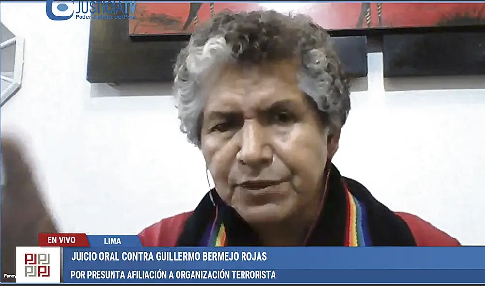 Audiencia. Interrogatorio a testigo transcurrió sin apremios. Foto: captura Justicia TV