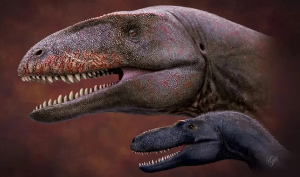 Una ilustración del enorme carcharodontosaurio Ulughbegsaurus con el tiranosaurio más pequeño Timurlengia. Foto: Julio Csotonyi