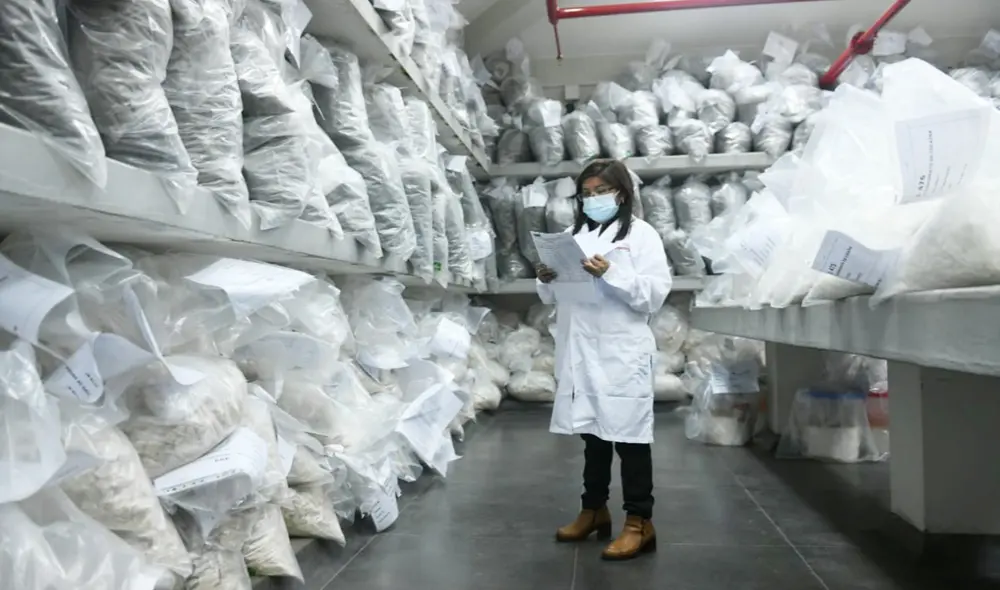 En lo que va del año ya van más de 70 toneladas destruidas. Foto: Mininter