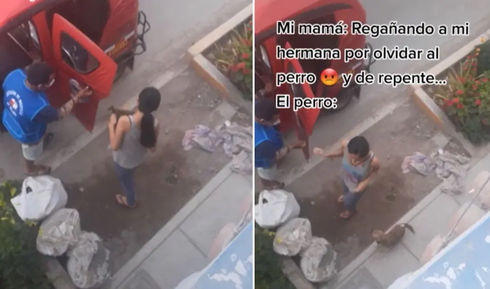 Miles de usuarios no han parado de reír con esta escena. Foto: captura de TikTok Miles de usuarios no han parado de reír con esta escena. Foto: captura de TikTok
