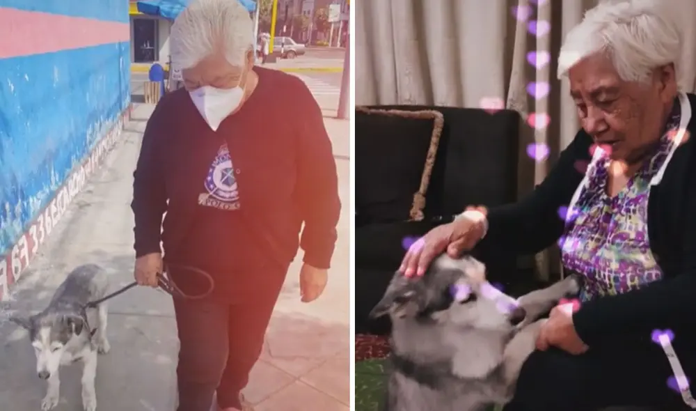 Miles de usuarios han quedado cautivados con las imágenes. Foto: captura de TikTok