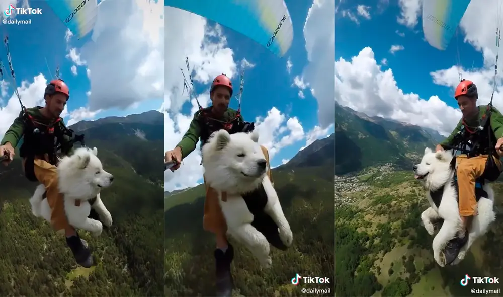 La dupla cautivó a miles de cibernautas con la sorprendente escena que desarrollaron. Foto: captura de TikTok La dupla cautivó a miles de cibernautas con la sorprendente escena que desarrollaron. Foto: captura de TikTok