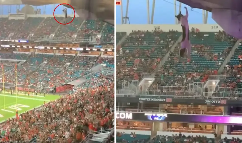 El partido entre NCAA y Appalachian de fútbol americano fue opacado por el felino. Foto: captura redes sociales El partido entre NCAA y Appalachian de fútbol americano fue opacado por el felino. Foto: captura redes sociales