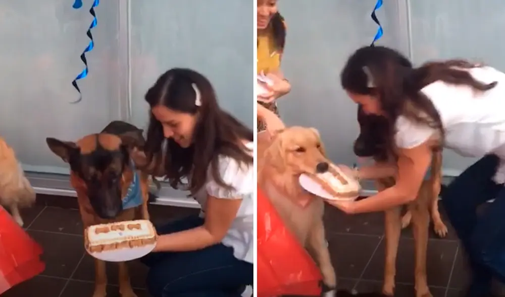 El video viral ha causado gran sensación en las redes sociales. Foto: captura de TikTok El video viral ha causado gran sensación en las redes sociales. Foto: captura de TikTok