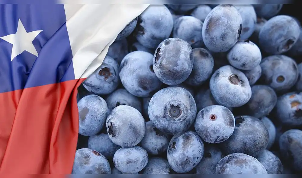 De acuerdo a información recogida por el Senasa, el primer contenedor con destino a Chile fue de 7.500 cajas. Foto: difusión De acuerdo a información recogida por el Senasa, el primer contenedor con destino a Chile fue de 7.500 cajas. Foto: difusión