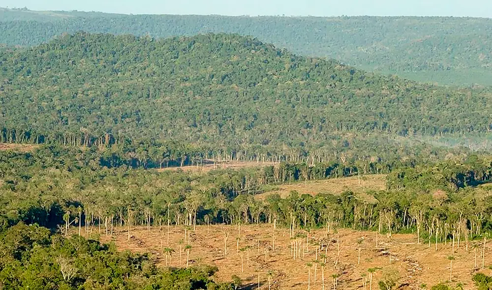 El convenio se firmó entre la Cancillería argentina y el Fondo Verde del Clima. Foto: Argentina Forestal El convenio se firmó entre la Cancillería argentina y el Fondo Verde del Clima. Foto: Argentina Forestal