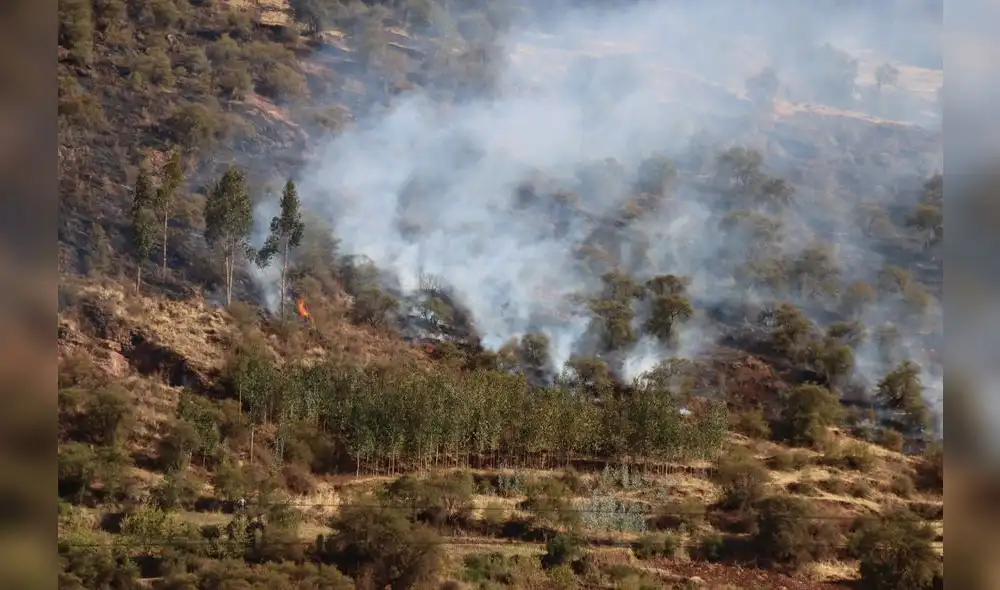 Incendio consumió 40 hectáreas de vegetación. Foto: OGRS-CUSCO Incendio consumió 40 hectáreas de vegetación. Foto: OGRS-CUSCO