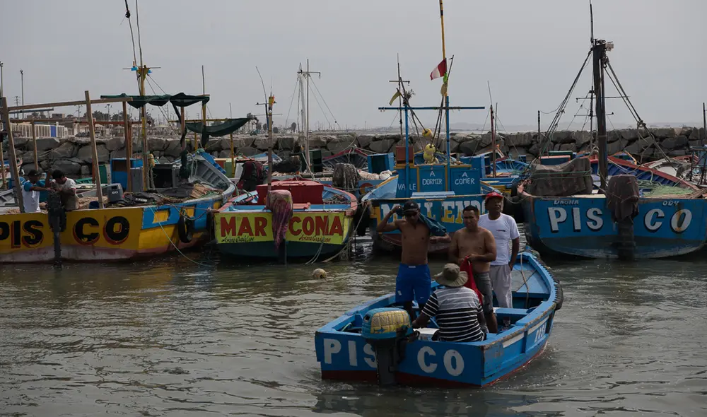 Propuesta busca ratificar el Acuerdo de Escazú. Foto: difusión Propuesta busca ratificar el Acuerdo de Escazú. Foto: difusión