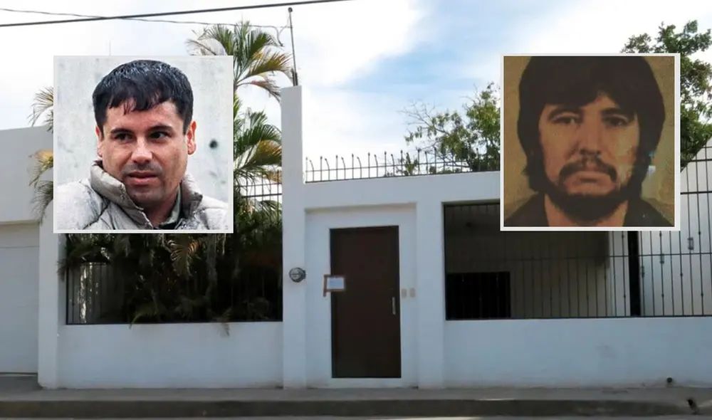 Los fondos recaudados se destinarán a los atletas que participaron en los Juegos Olímpicos y Paralímpicos de Tokio 2020. Foto: composición Los fondos recaudados se destinarán a los atletas que participaron en los Juegos Olímpicos y Paralímpicos de Tokio 2020. Foto: composición