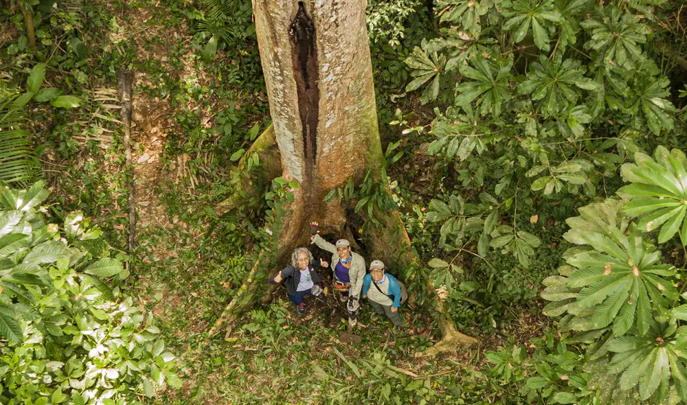 Arbio Perú viene protegiendo 916 hectáreas de bosques. Foto: difusión Arbio Perú viene protegiendo 916 hectáreas de bosques. Foto: difusión
