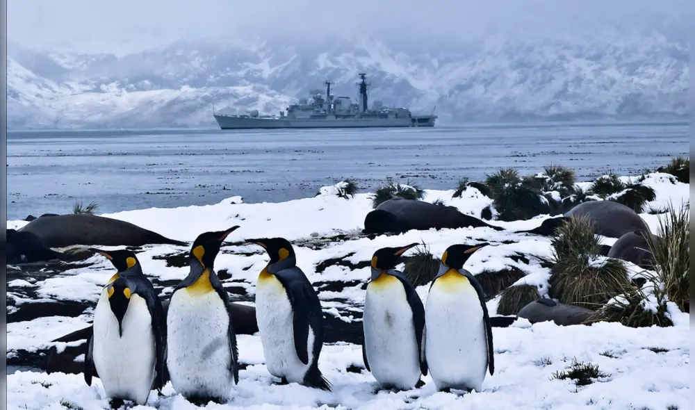 La nueva especie de pingüinos antiguos fue reconstruida con laser 3D y se calcula que pudo alcanzar los 1,40 metros de altura. Foto: EFE