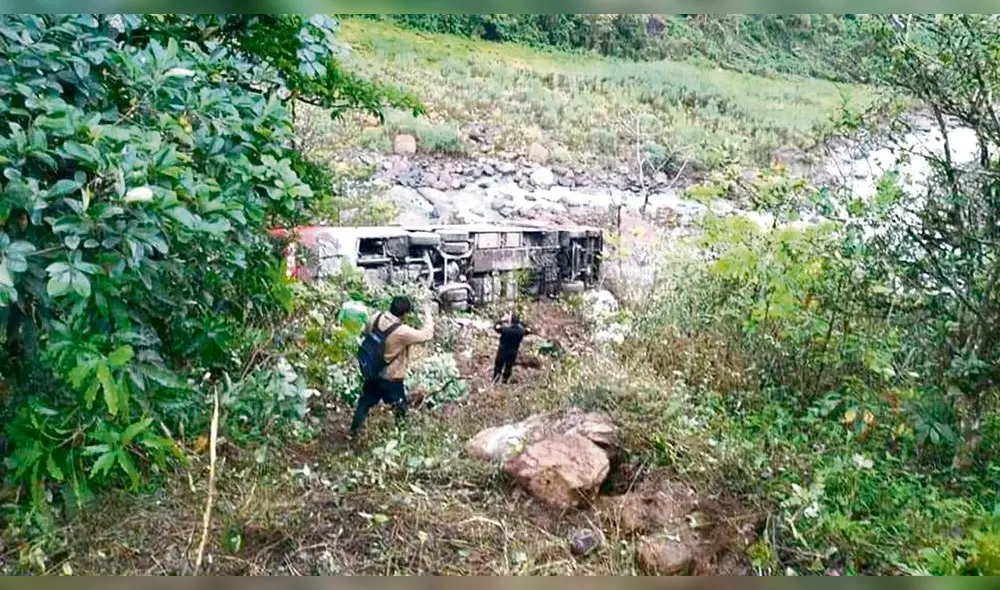 Milagro. Un árbol contuvo al bus, sino terminaba en el río San Gabán. Milagro. Un árbol contuvo al bus, sino terminaba en el río San Gabán.
