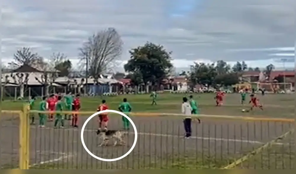 El hilarante momento fue compartido en distintas redes sociales. Foto: captura de Facebook