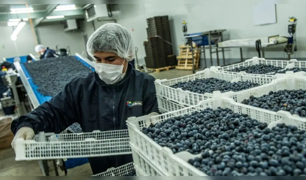 "Queremos que nuestras exportaciones manufacturadas, aquellas con valor agregado y que generan empleo, ganen terreno, las políticas deben ir orientadas a fortalecer la competitividad", dijo ComexPerú. Foto: difusión "Queremos que nuestras exportaciones manufacturadas, aquellas con valor agregado y que generan empleo, ganen terreno, las políticas deben ir orientadas a fortalecer la competitividad", dijo ComexPerú. Foto: difusión