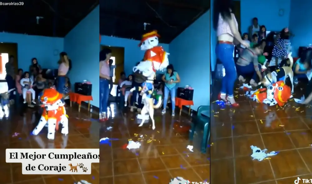 Perrito se divierte con su piñata de Paw Patrol. Foto: captura de TikTok Perrito se divierte con su piñata de Paw Patrol. Foto: captura de TikTok
