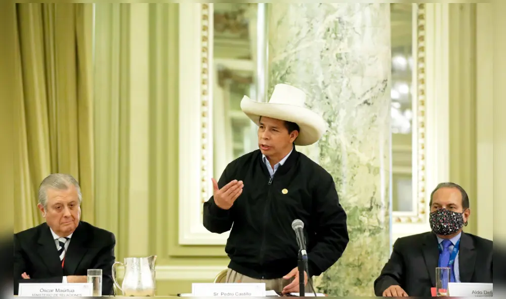 Castillo participó este lunes en la sesión del Consejo Permanente de la Organización de los Estados Americanos. Foto: Presidencia