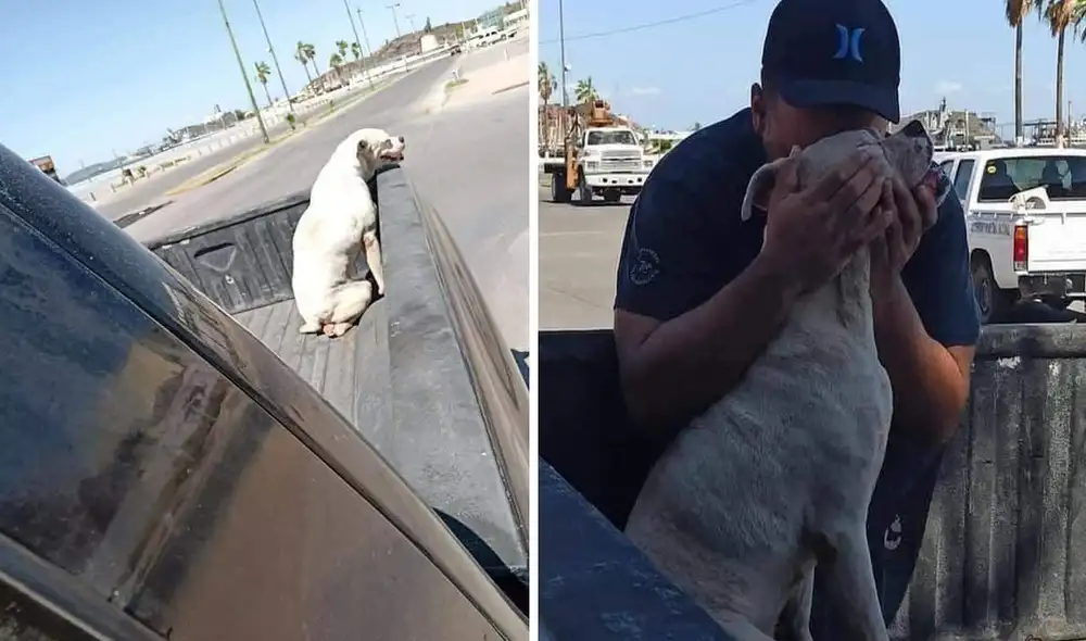 Un joven se enteró que su querida mascota padecía cáncer, por lo que tomó una dura decisión para evitar que continúe sufriendo a diario. Foto: Frontera News/Facebook
